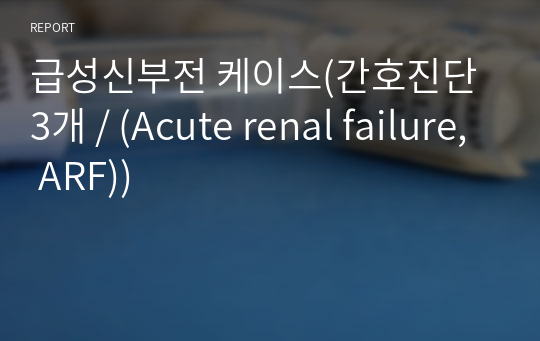 급성신부전 케이스(간호진단 3개 / (Acute renal failure, ARF))